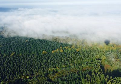 Montgolfière Ferme des Grands Trix