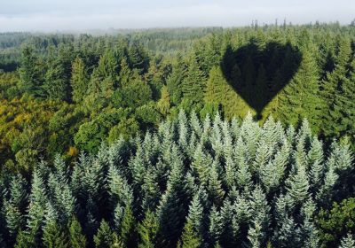 Montgolfière Ferme des Grands Trix